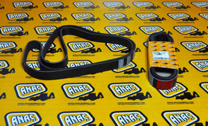 320-08605 DRIVE BELT, NEW MODEL 8PK2093